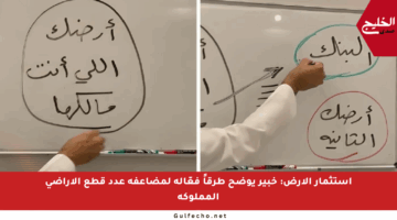 استثمار الأرض: خبير يوضح طرقاً فعّالة لمضاعفة عدد قطع الأراضي المملوكة